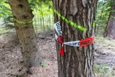Nach grausigem Fund nahe Dresden: Täter könnte unter Drogen gestanden haben