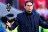Trainer-Knall in der Bundesliga! Gladbach wirft Gerardo Seoane raus
