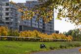 Goldener Oktober: Berlin und Brandenburg erwartet sonniges Herbstwetter