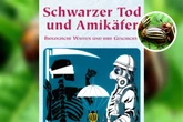 Heute vor 76 Jahren: Rätselhafte Käferplage - Was wirklich hinter dem Amikäfer steckte