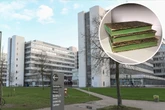 Anfassen verboten! Unibibliothek sperrt 60.000 Bücher - Das ist der Grund