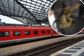 Tierischer Polizeieinsatz: Blinde Passagiere legen S-Bahn am Kölner Hauptbahnhof lahm