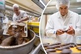 Wieso kommen Lebkuchen & Co. schon so früh in den Verkauf?