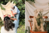 Mann bringt Vierbeiner zum Foto-Shooting: Die Schnappschüsse bringen Herzen zum Schmelzen