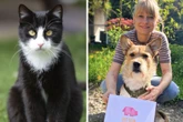 Save the date: Tag der offenen Tür im Tierheim Berlin