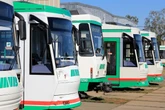Bauarbeiten der MVB: Diese Straßenbahn- und Buslinien in Magdeburg sind betroffen