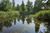 Verfolgung endet im Teich: Automatenknacker von Feuerwehr aus Wasser gefischt!