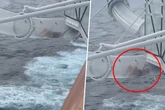 Touristin steckt auf Rutsche von Kreuzfahrtschiff fest - über dem offenen Meer!