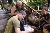 Sexuell fleißige Faultiere: Im Dresdner Zoo ist Nachwuchs im Anmarsch