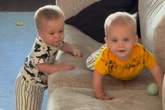 Als Vater sieht, was seine Babys machen, zückt er ungläubig seine Kamera