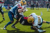 Große Hitze und viele Fehler, aber die Monarchs zähmen die Lions
