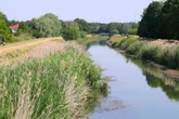 Sorge in Sachsen: Regen am Wochenende erwartet, Flüsse haben trotzdem nicht genug Wasser