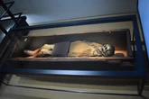 Heute vor 69 Jahren begann das Rätsel um die Moorleiche Rosalinde