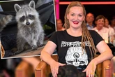 "Hat Deutschland ein Waschbär-Problem?": Expertin klärt im "Riverboat" auf