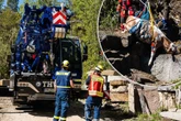 Kühe entlaufen! Ein Tier tot - zweiter Rettungsversuch für "Luise" erfolgreich