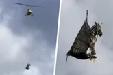 Wenn Zebras fliegen: Auf diese irrwitzige Art wird Ausreißer "Ed" wieder nach Hause gebracht