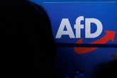 Extremismus-Experten warnen: Was passiert, wenn die AfD in Sachsen-Anhalt gewinnt?