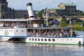 10 Fragen zur Dresdner Dampfschifffahrt: Käpt'n oder Landratte?