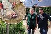 Vom Amt bemängelt: Dresdner Jugendbauernhof bekommt endlich neues Herzstück