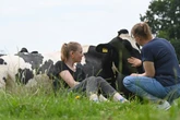 Kuh-Kuscheln im Norden: Warum die "Zauberhaften Acht" Herzen erobern