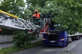 Lkw bleibt an Baum hängen und droht umzukippen