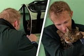 Mann muss Katze schweren Herzens abgeben: Nach wenigen Wochen kommt es zum emotionalen Wiedersehen
