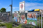 Tiger-Angriff in Sachsen: Das hat die Obduktion des Opfers (†72) ergeben