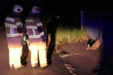 Rettungseinsatz in Sachsen: Feuerwehr befreit Reh aus misslicher Lage
