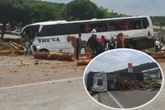Reisebus kracht in Laster voller Baumstämme: Mehrere Tote