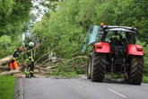 Baum stürzt auf Bundesstraße: Urlauber sorgt bei Wendemanöver für die nächste Blockade