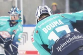 Bouma zieht die Eislöwen richtig mit, aber die Ergebnisse fehlen noch