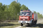 Waldbrandgefahr in Hamburg: Behörde schlägt Alarm