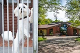Nur für Zweibeiner: Tierheim in Dresden öffnet seine Türen