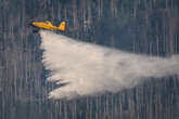 Waldbrand am Brocken: Endlich Regen! 