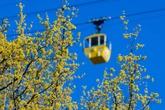Sternenhimmel über Köln: Seilbahn lädt zur besonderen Nachtfahrt ein
