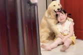 Mutter schimpft kleines Mädchen aus: Was Golden Retriever dann tut, lässt Herzen schmelzen