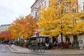 Orkan bläst Winter in Berlin und Brandenburg weg: Hallo, Frühling!