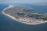 Toter Wal am Strand von Nordsee-Insel angespült