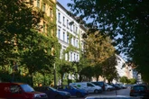 Bäume auf Berlins Straßen brauchen Wasser: Aber wie macht man's richtig?