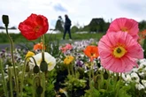 Temperaturen ziehen wieder an! Nächster Wetter-Umschwung zum Ende der Woche