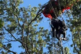 Tragischer Skydive-Unfall: Ausbilder fällt bei Tandemsprung plötzlich ungebremst zu Boden