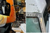 Zwischenfall in 11.000 Metern Höhe: Was hat diese Boeing 737 erwischt?