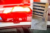 Polizisten suchen nach Frau in Not: Was sie dann finden, haben sie nicht erwartet