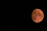 Faszinierendes Himmelsschauspiel: Naturkatastrophe sorgt für roten Mond über Sachsen