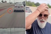 Fahrer sieht winziges Wesen auf Autobahn und hält an: Kurz darauf ist er sprachlos