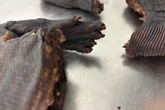 Waranfleisch im Koffer: Schmuggler will Verwandten besonderes Geschenk machen