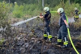 Wald brennt in Sprockhövel: 900 Quadratmeter Fläche bereits abgefackelt