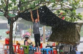 Thời tiết hôm nay 26-8: Bắc Bộ, Nam Bộ có nơi mưa to, Trung Bộ nắng nóng
