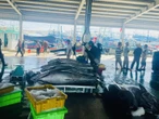Ngư dân nói 'vướng' kích thước tối thiểu khi đánh bắt cá ngừ, Bộ Nông nghiệp nói gì?