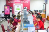 Ngân hàng xiết nợ doanh nghiệp của chuyên gia kinh tế nổi tiếng Việt Nam